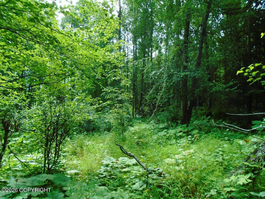 15032 W Necrason Drive, Big Lake AK 99652
