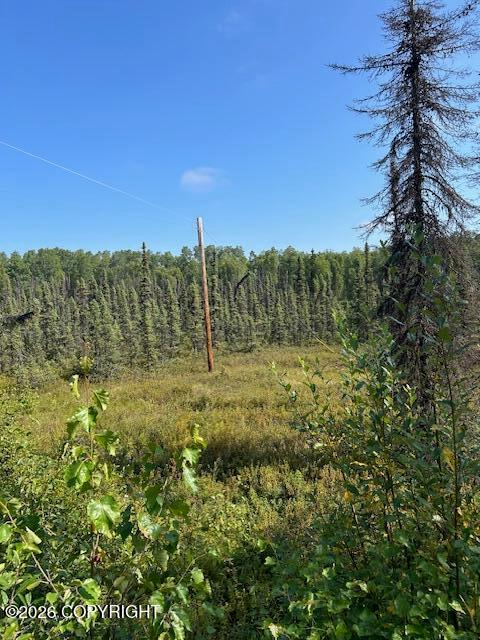 7833 S Irish Lane, Big Lake AK 99652