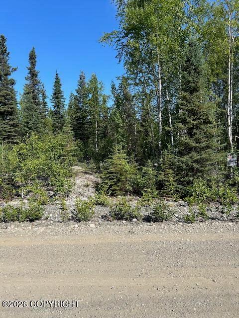 21247 W Dublin Court, Big Lake AK 99652
