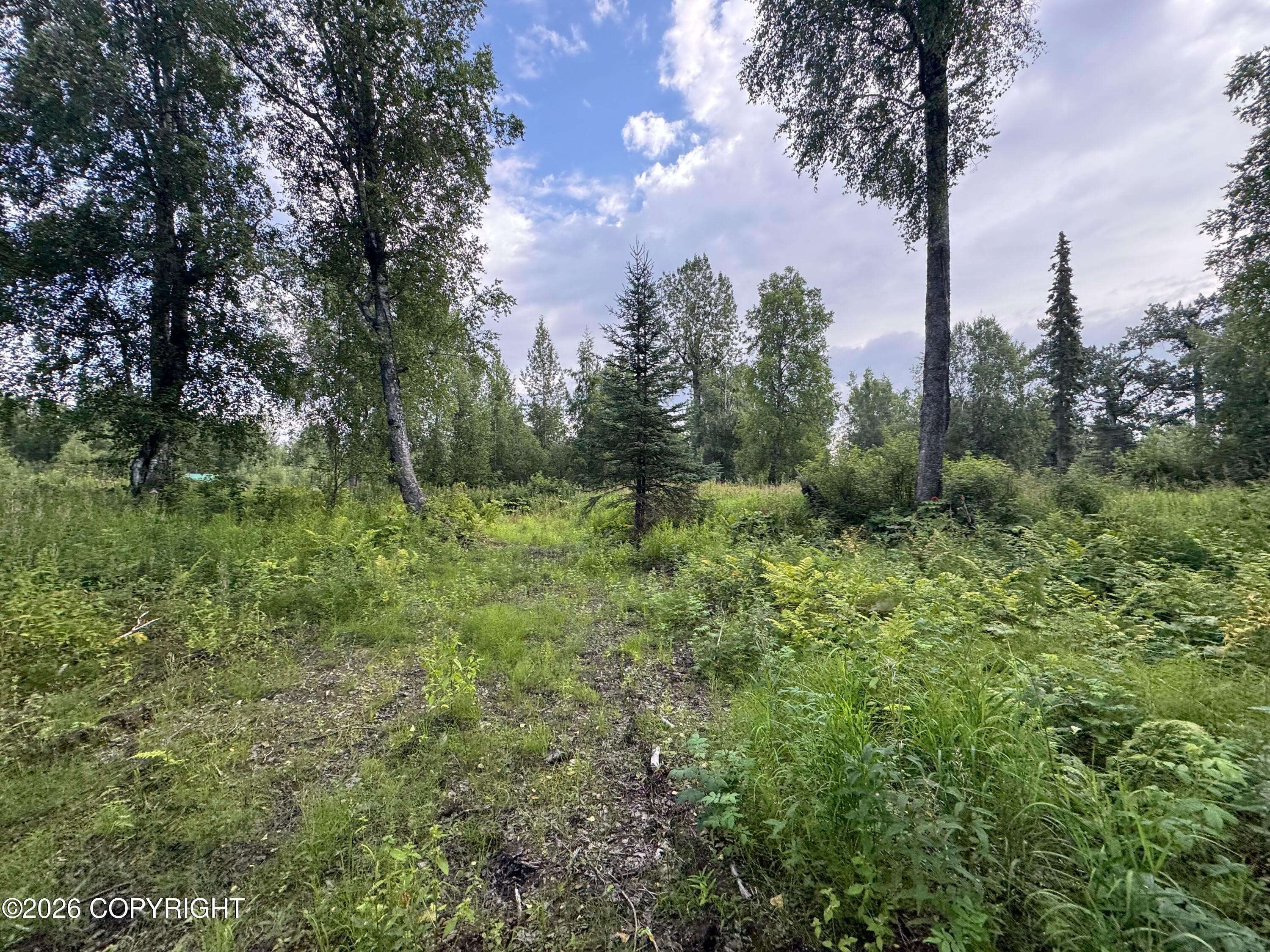 11360 E Wolf Trail, Trapper Creek AK 99683
