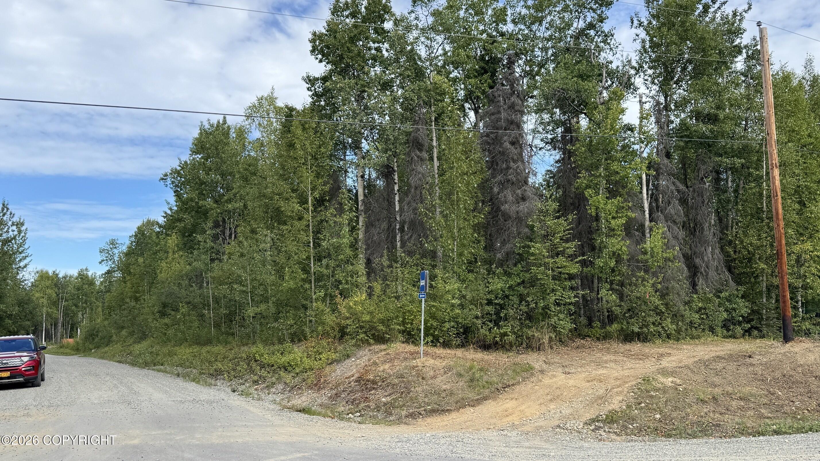 000 E Caswell Lakes Road, Willow AK 99688
