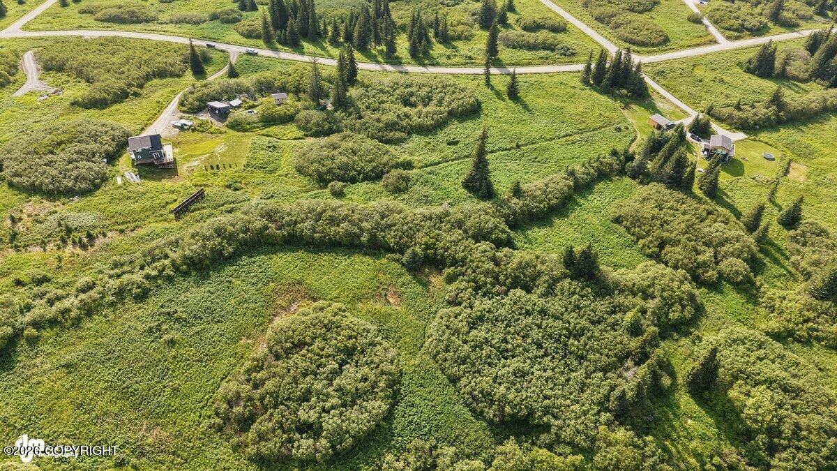 38508 Mossberg Drive, Homer AK 99603
