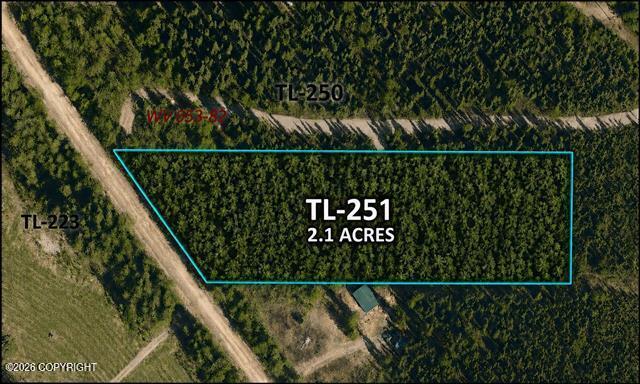 TL 251 Old Valdez Trail, Salcha AK 99714