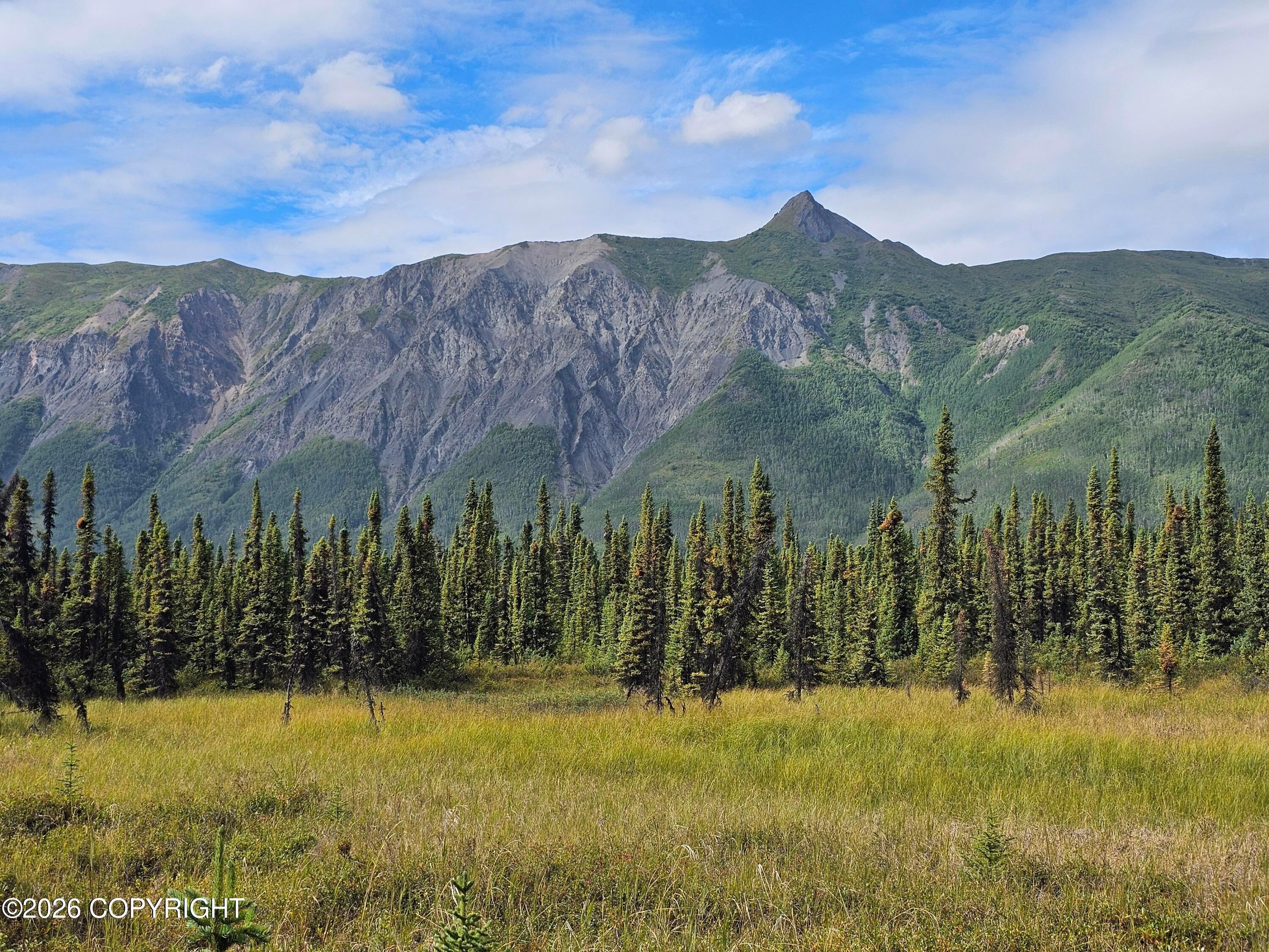 34033 W Arnica Avenue, Chickaloon AK 99674
