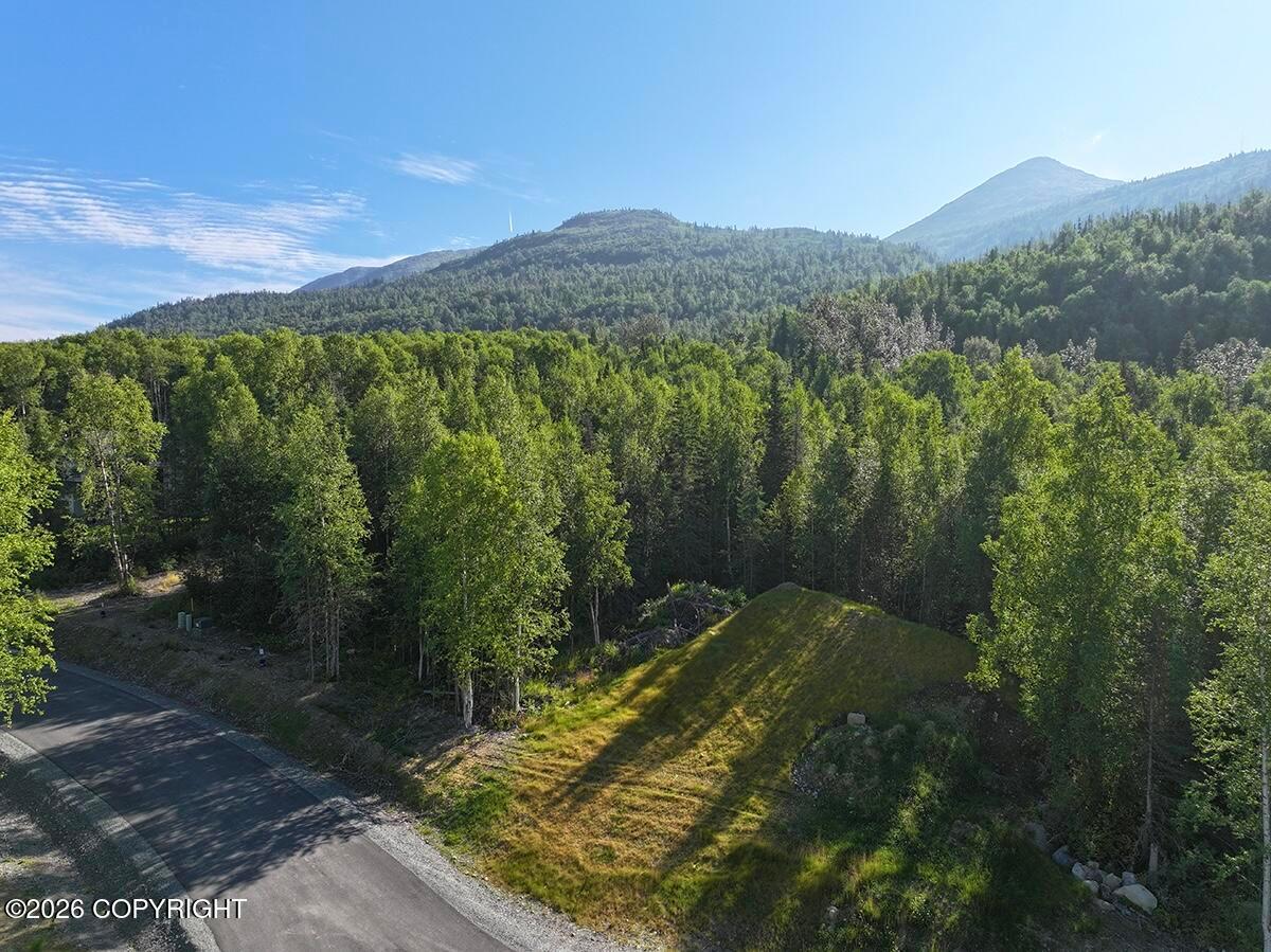 Lot 5 Harmony Drive, Eagle River AK 99577