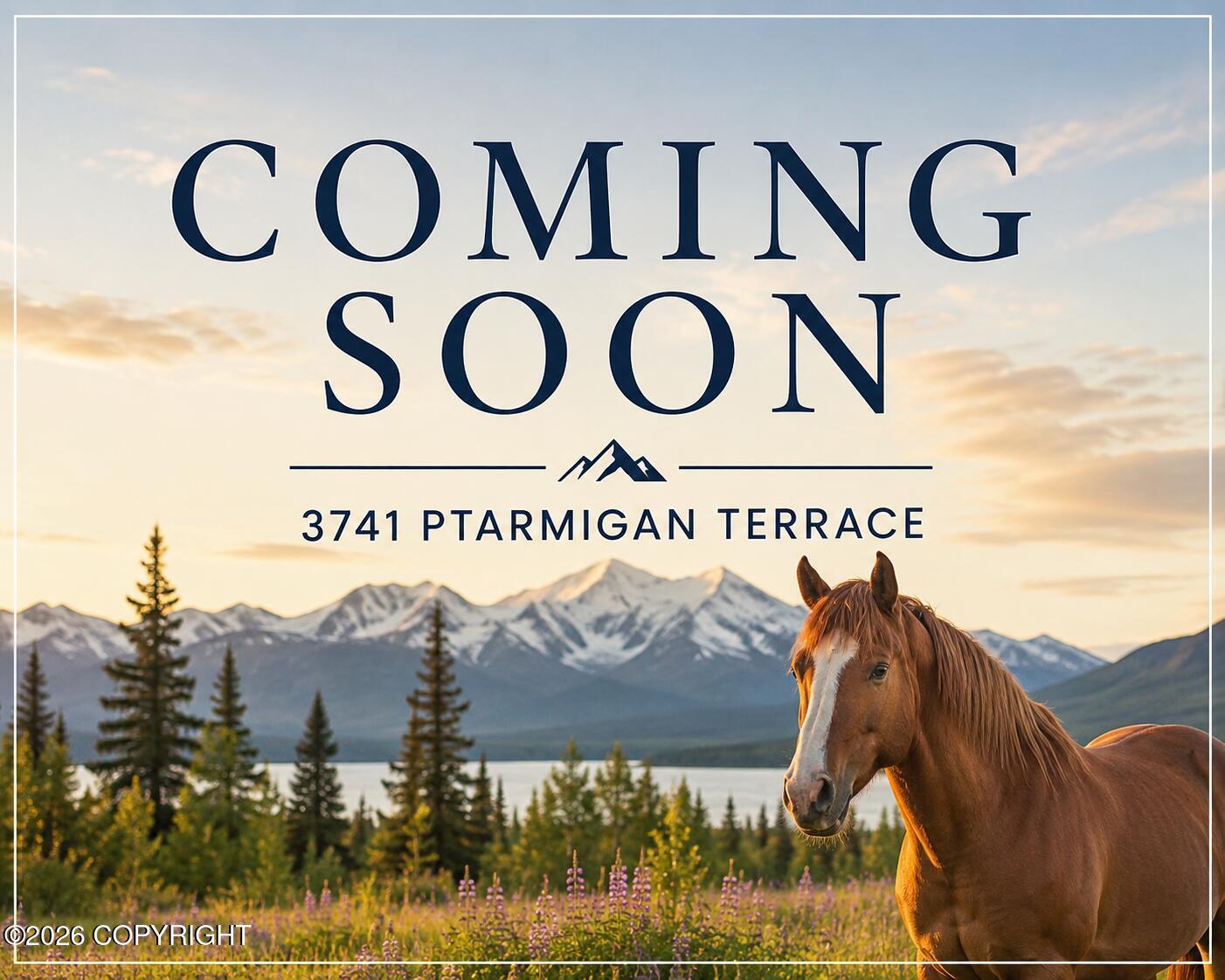 3741 Ptarmigan Terrace, Anchorage AK 99516