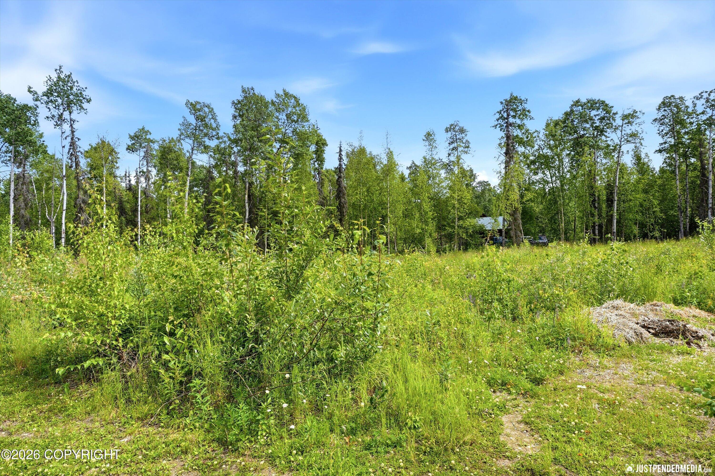 24681 W Sunnyslope Way, Willow AK 99688