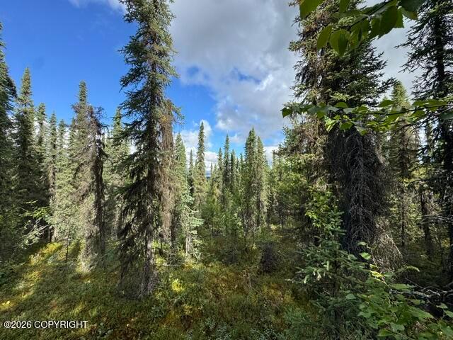Tr 15 Funny River Road, Soldotna AK 99669