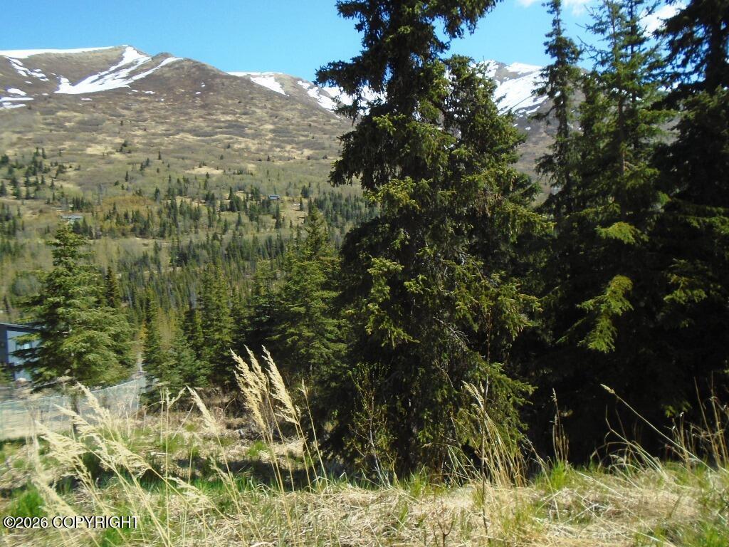 L2 West River Drive, Eagle River AK 99577