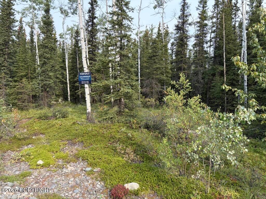 Lot 4 Butch Kuth Avenue, Tok AK 99780