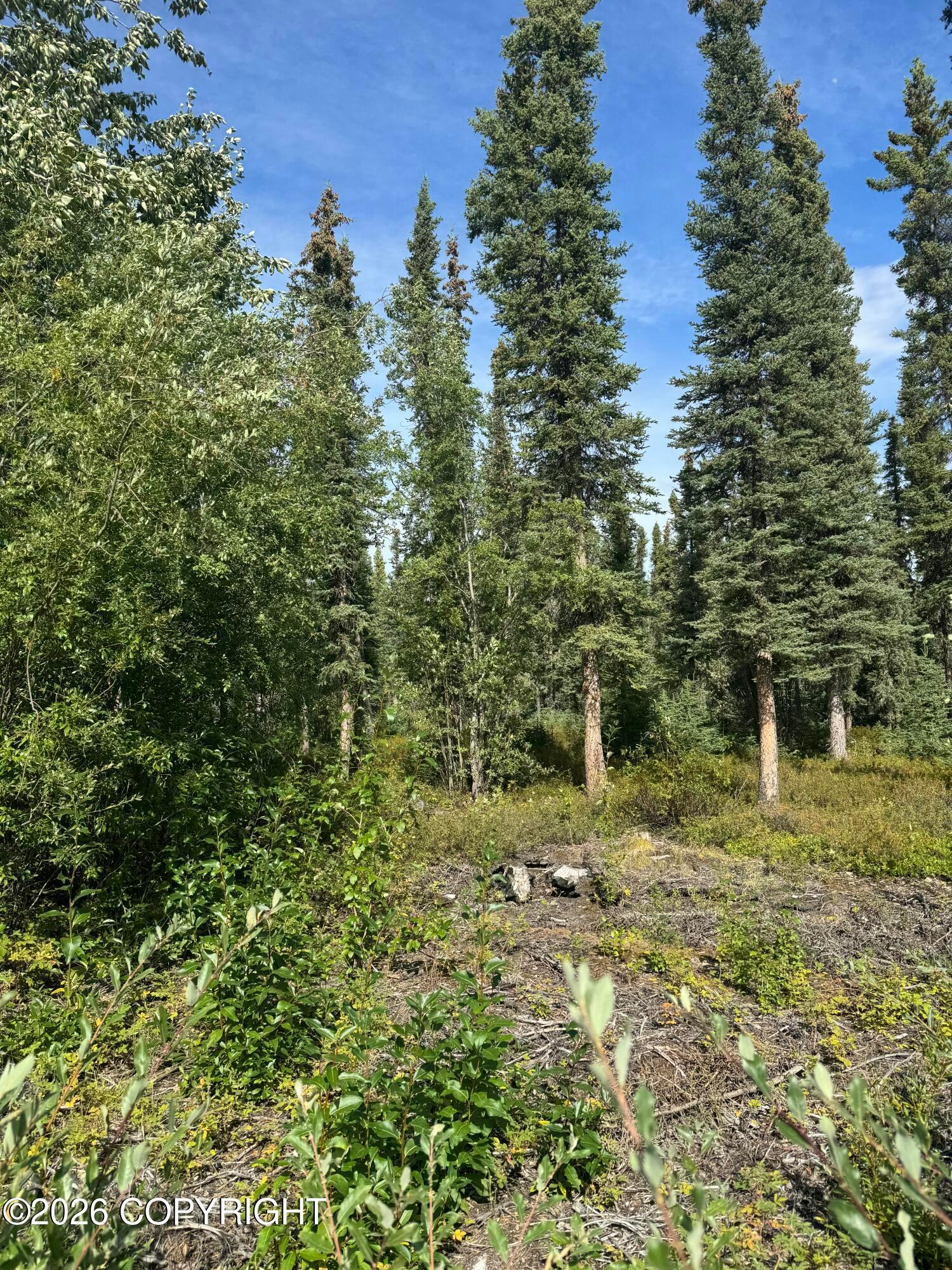 L2 4th Street, Glennallen AK 99588