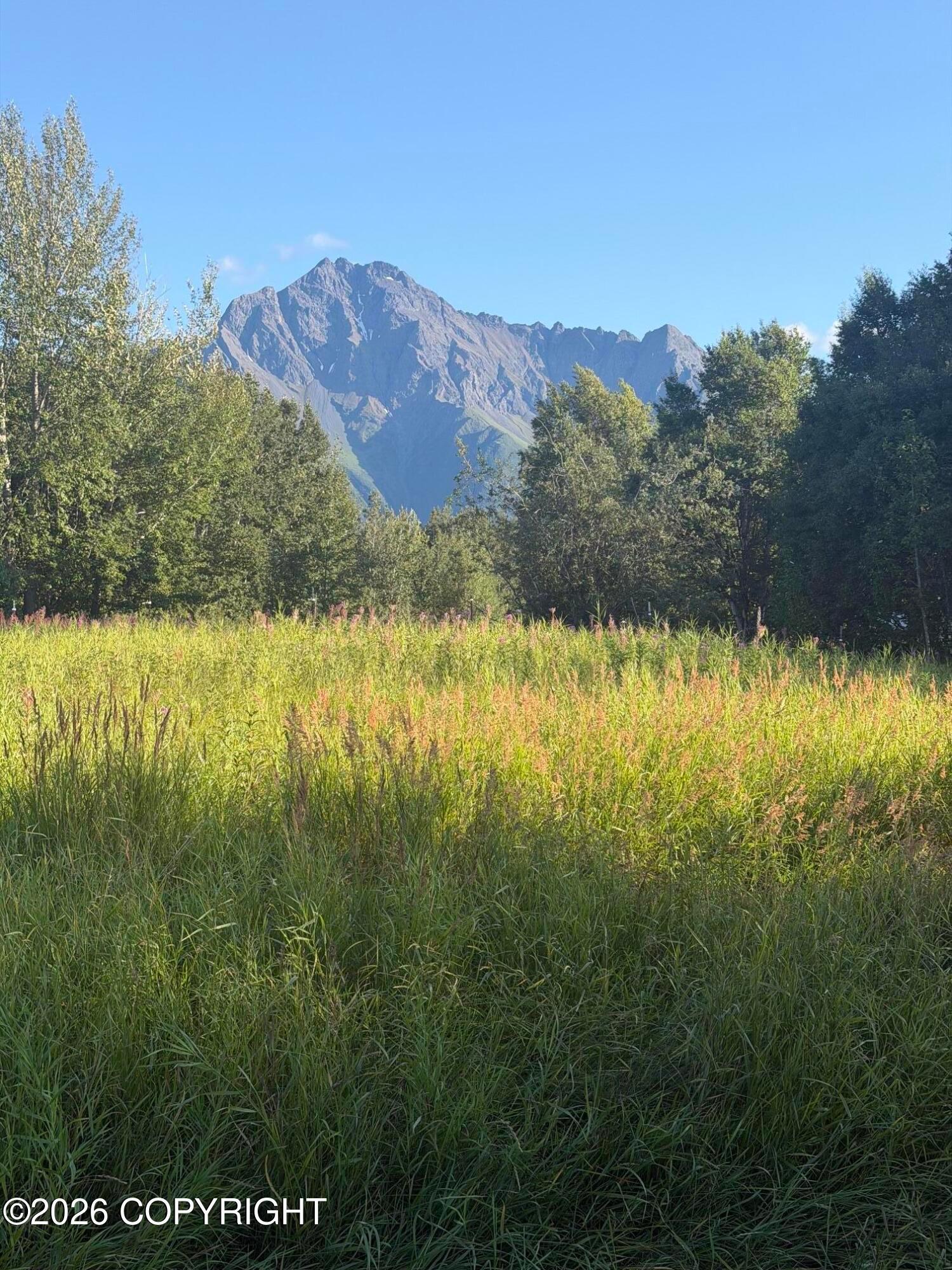 2937 S McCombs Road, Palmer AK 99645