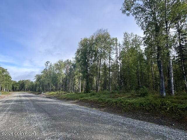 24761 S Spatterdock Street, Talkeetna AK 99676