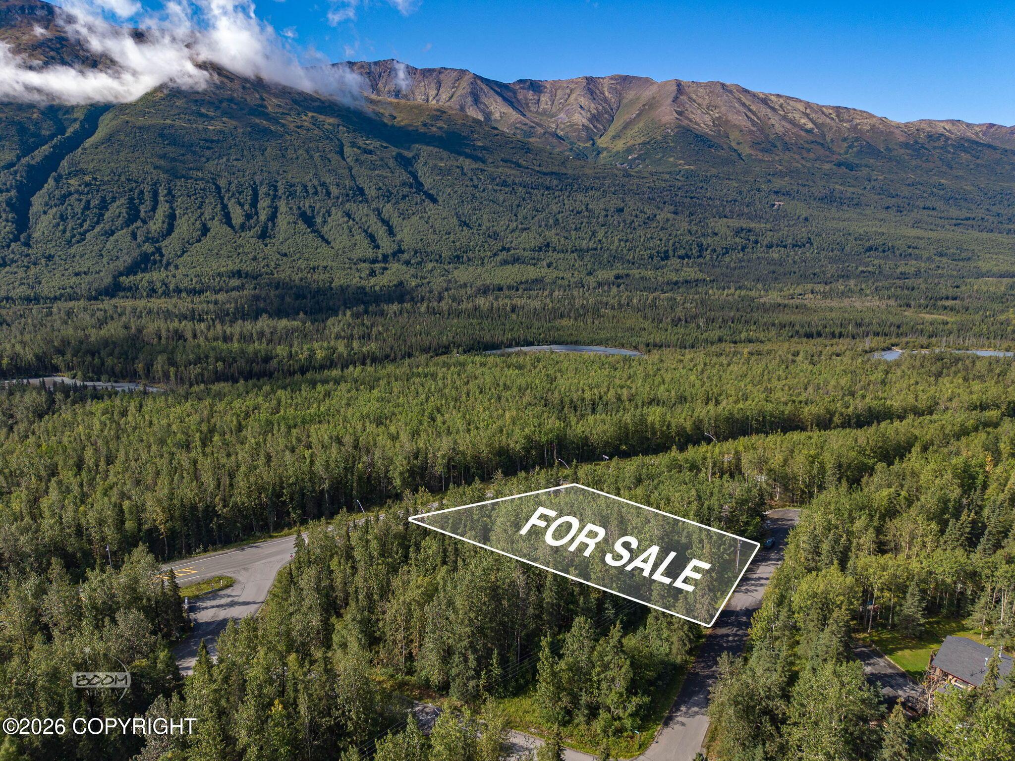 L3B1 Eklutna Highlands Est, Eagle River AK 99577