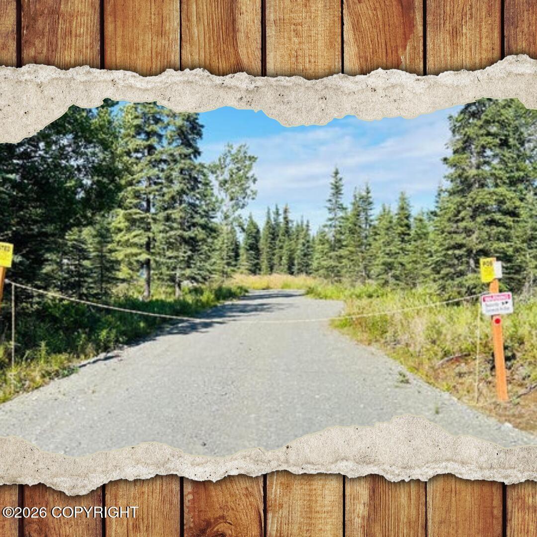 53558 St Elias Avenue, Kasilof AK 99610