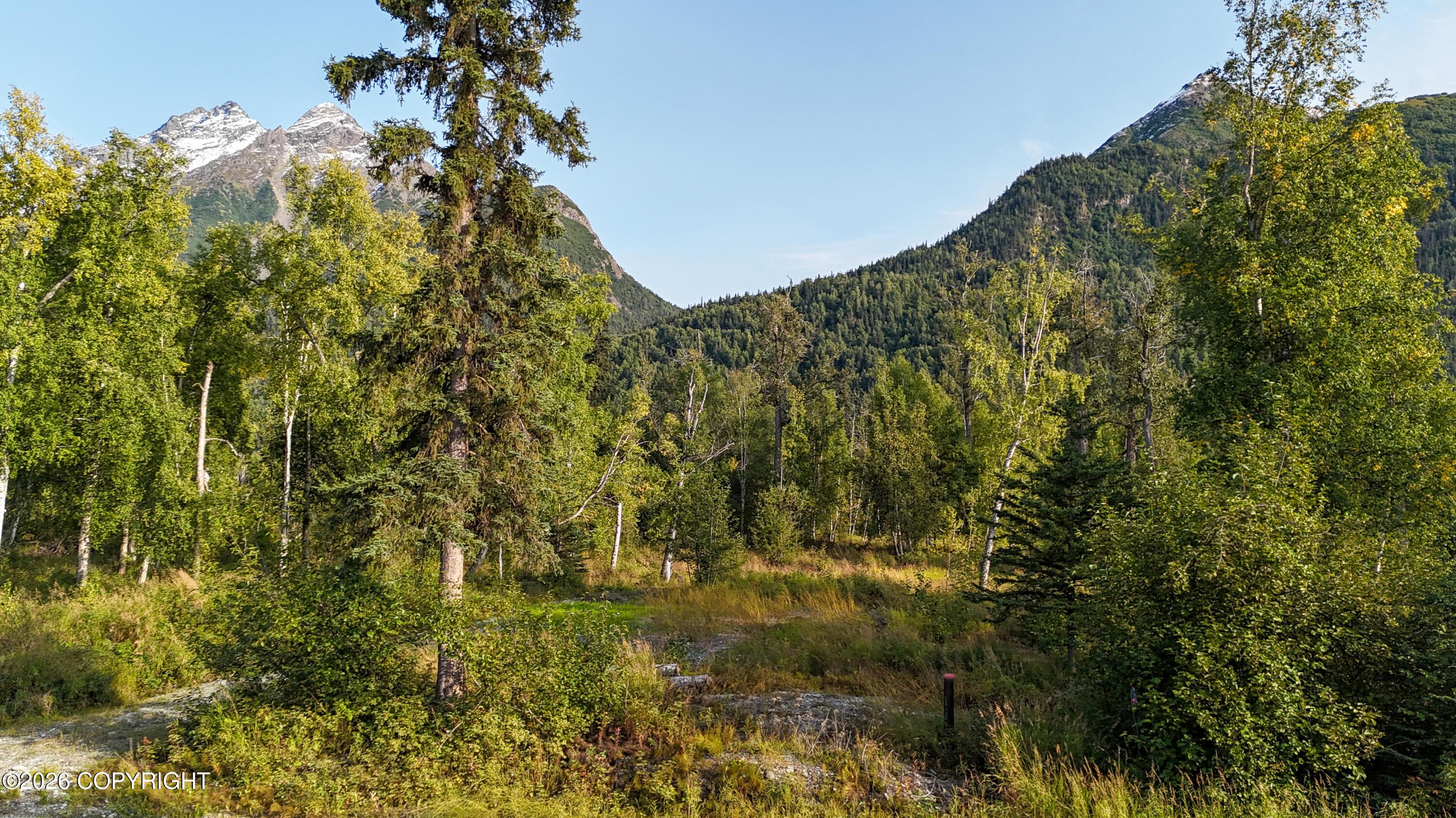 12704 E Wycoff Drive, Palmer AK 99645