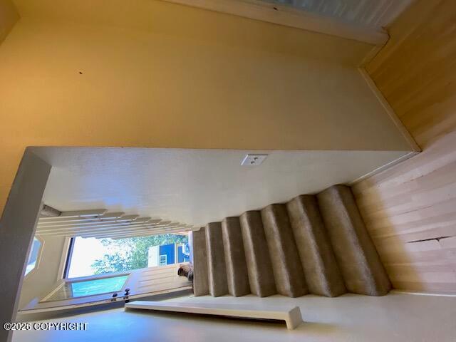 17421 Rachel Avenue, Eagle River AK 99577