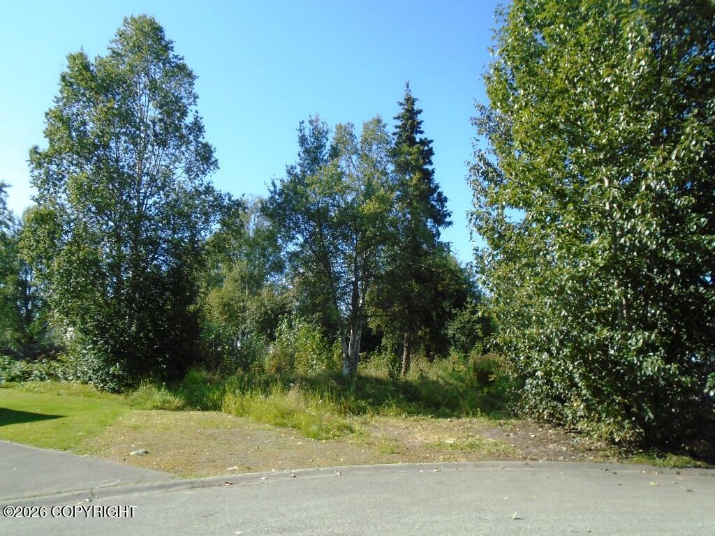 L8 Tanaga Circle, Anchorage AK 99504