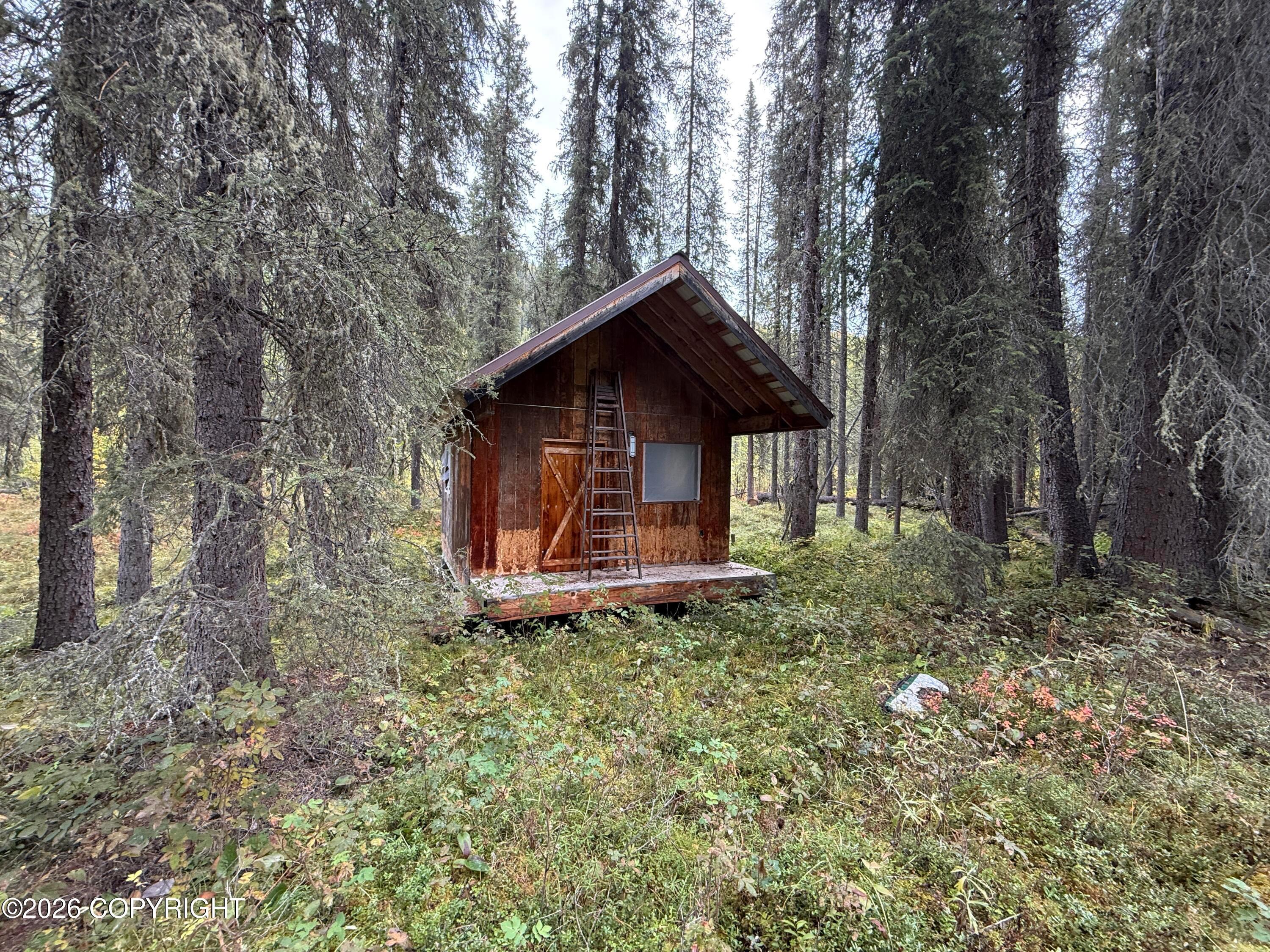 0341 Plus Trail ONLY Suslositna Creek Trail, Mentasta Lake AK 99780