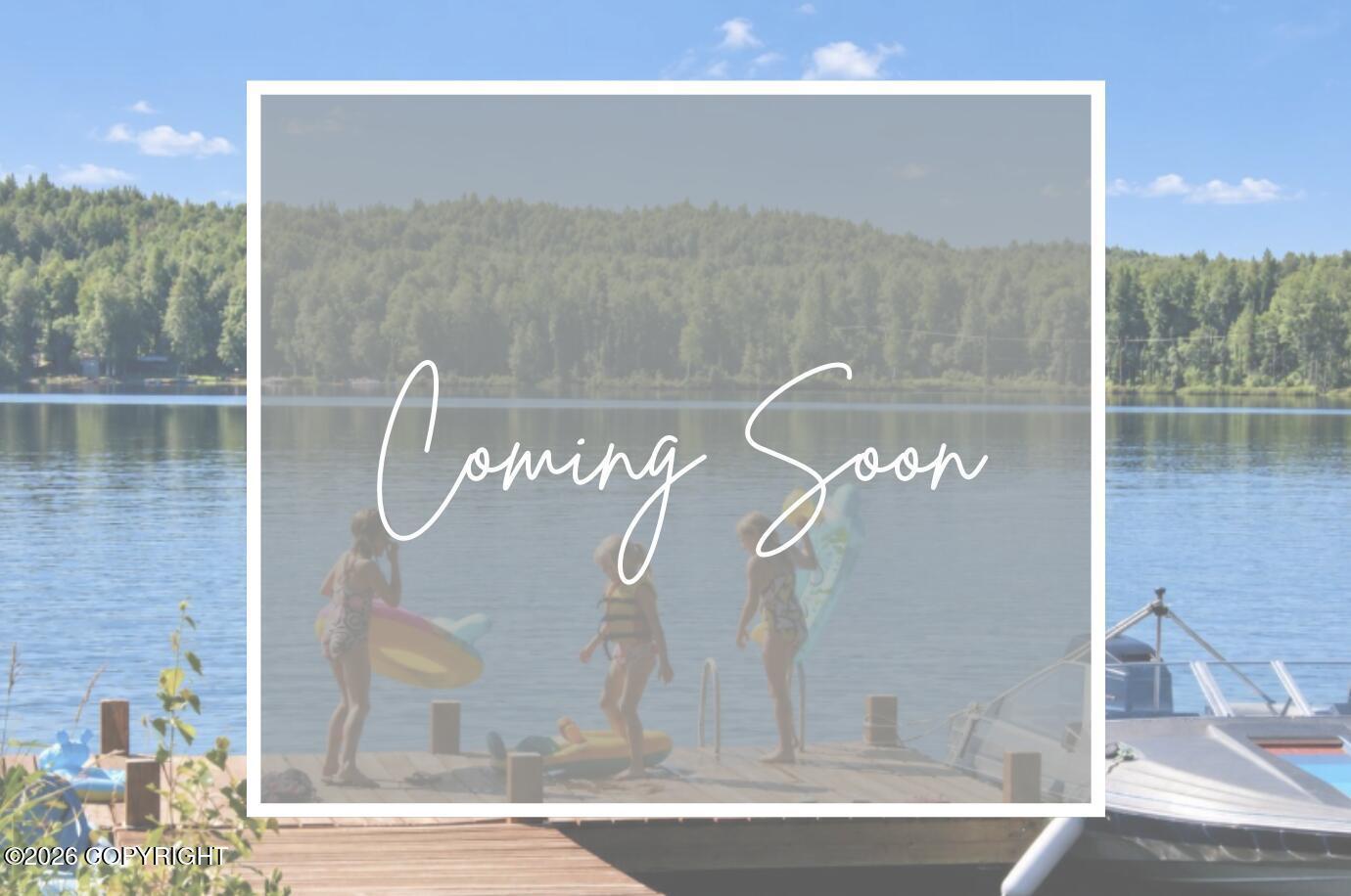 11220 N Sunny Lake Court, Willow AK 99688