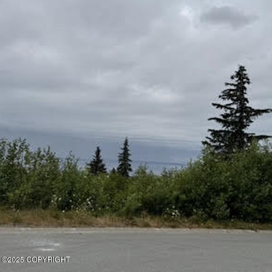 18936 Scenic Hill Drive, Anchorage AK 99516
