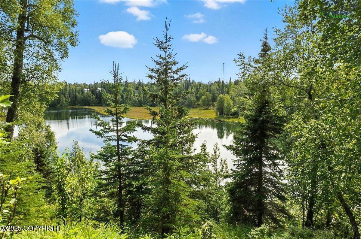 52647 Suzanne Avenue, Nikiski/North Kenai, AK 99635, Nikiski/North Kenai
