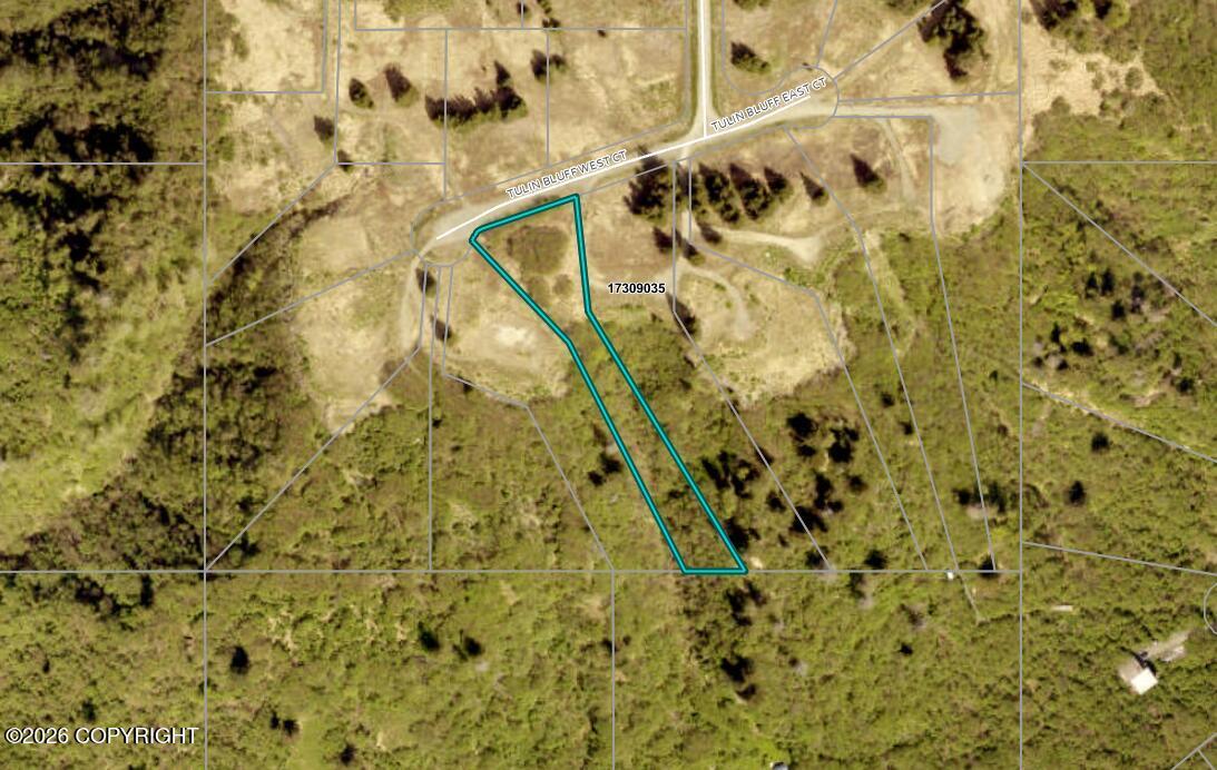 191 Tulin Bluff West Court, Homer AK 99603