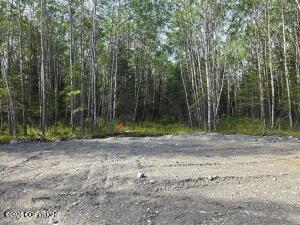 Lot 5 Bent Rod Court, Sterling AK 99672